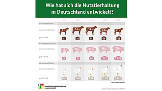 BZL-Infografik: Wie hat sich die Nutztierhaltung in Deutschland entwickelt?