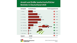 BZL-Infografik: Anzahl und Größe landwirtschaftlicher Betriebe in Deutschland 2020
