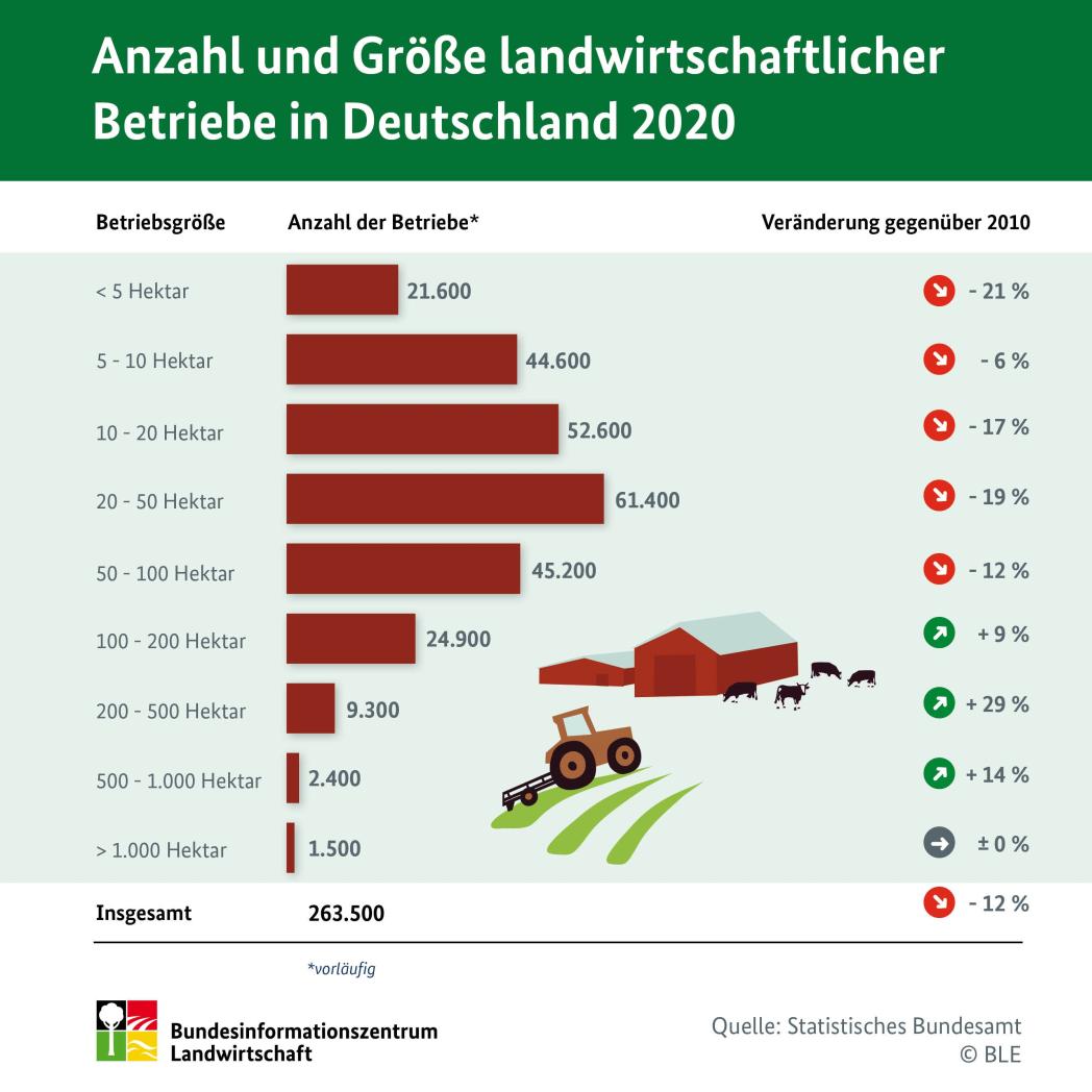 Deutsche durchschnittsgröße frau