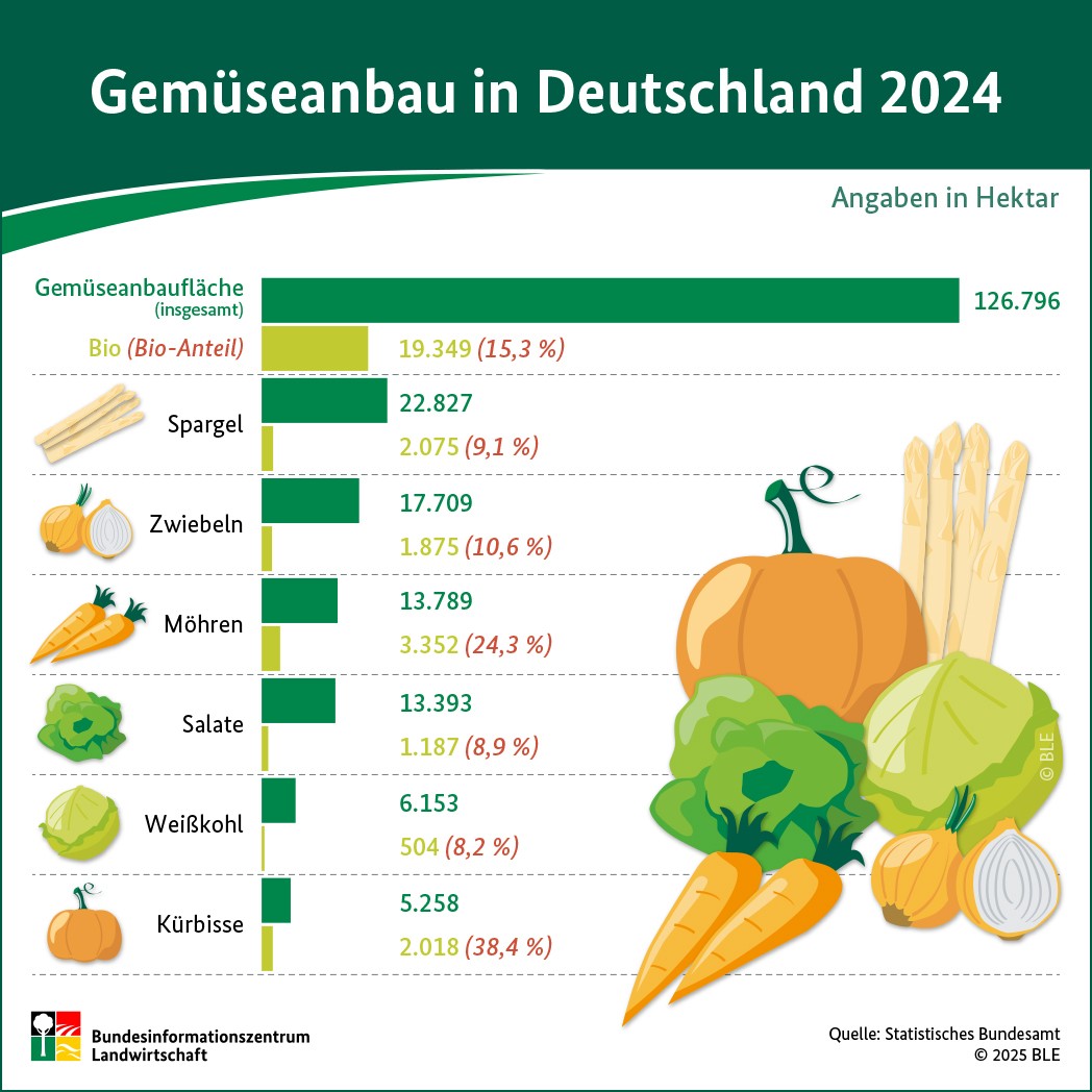 BZL-Infografik: Gemüseanbau in Deutschland 2024