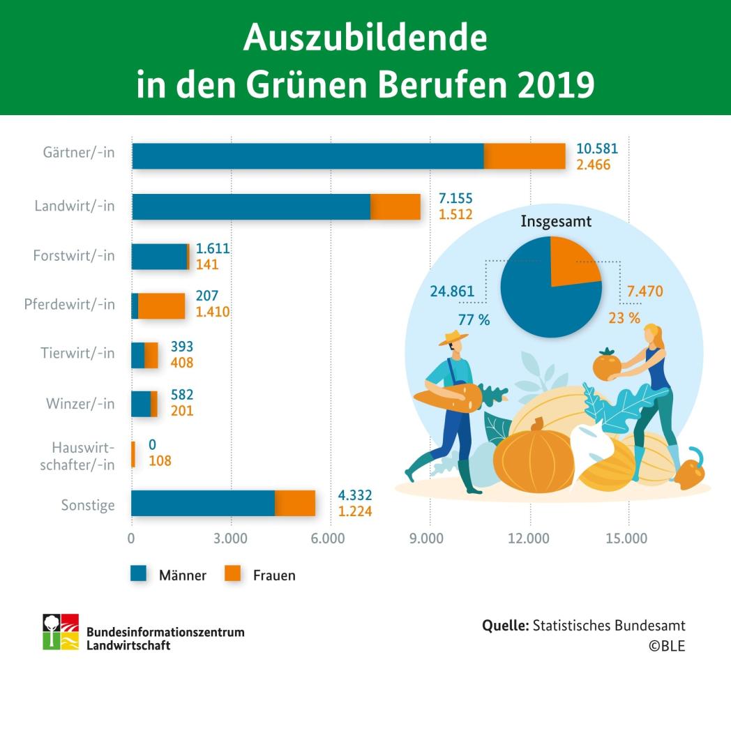 Infografik "Auszubildende in den Grünen Berufen 2019"