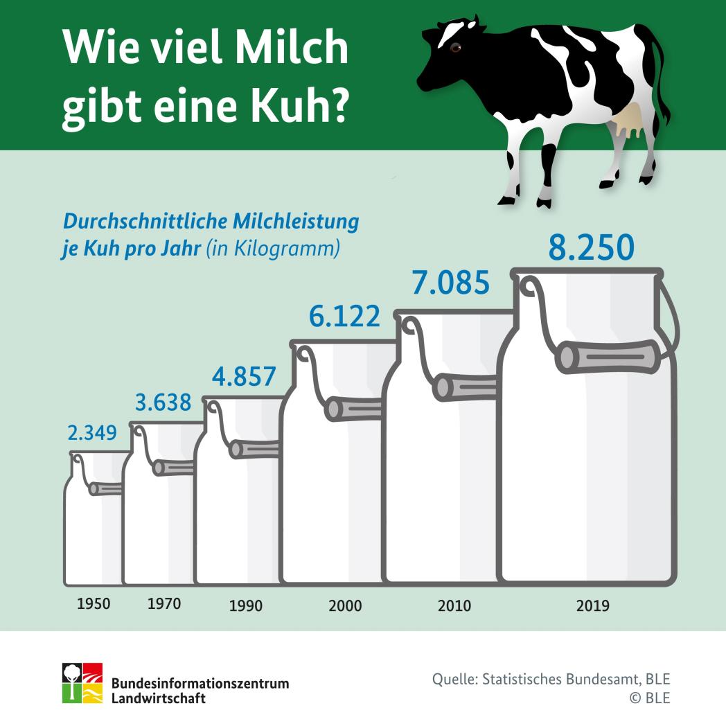 Bundesinformationszentrum Landwirtschaft: Wie viel Milch geben Schafe ...