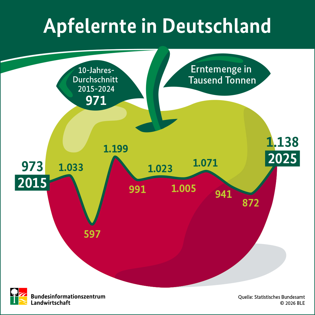 BZL-Infografik: Apfelernte in Deutschland