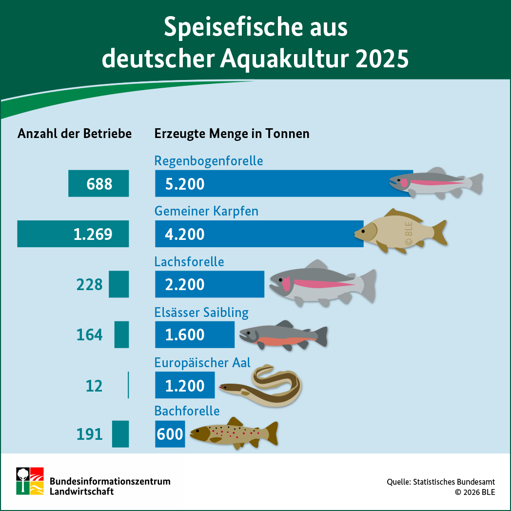 Infografik Speisefische aus deutscher Aquakultur