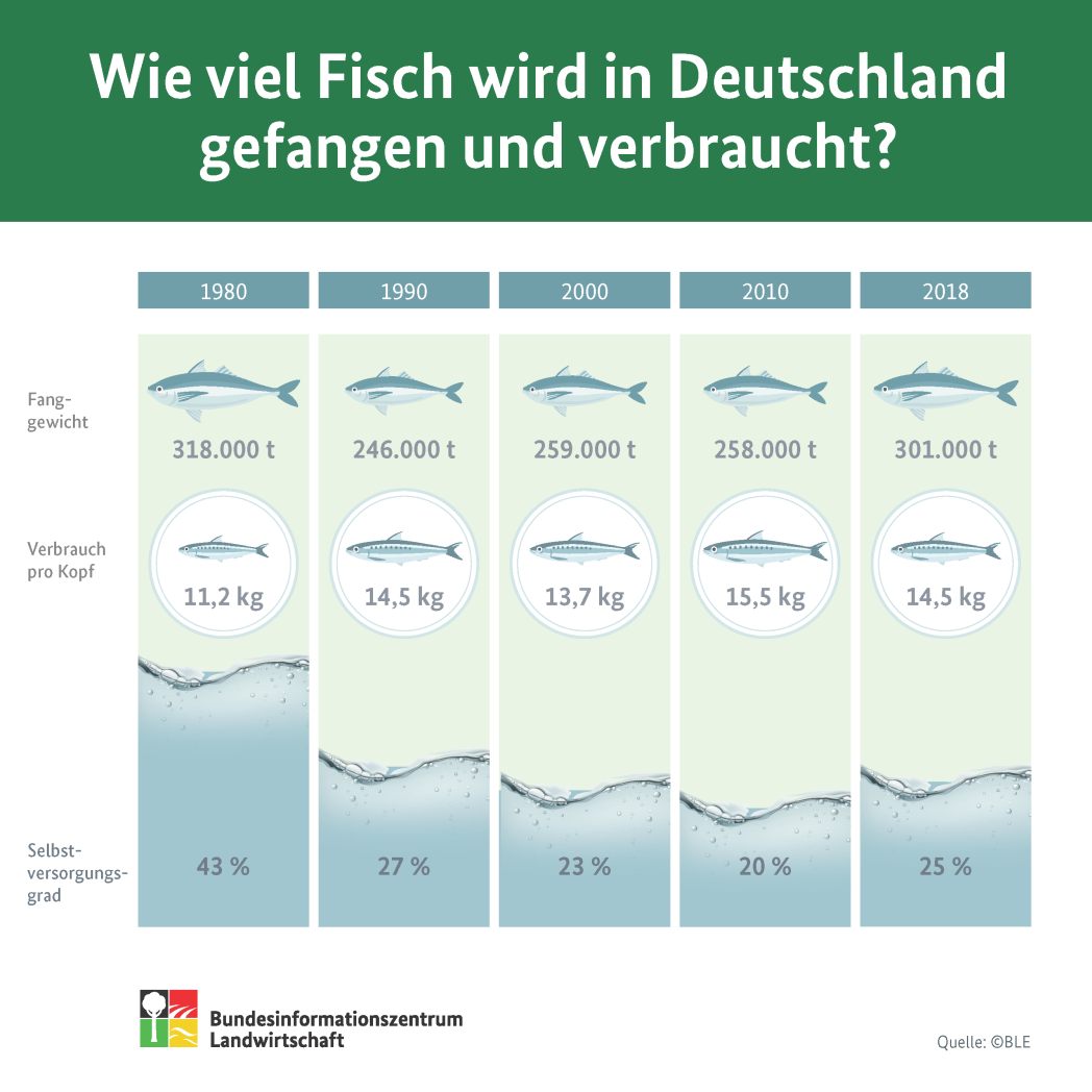 Infografik: Wie viel Fisch wird in Deutschland gefangen und verbraucht?