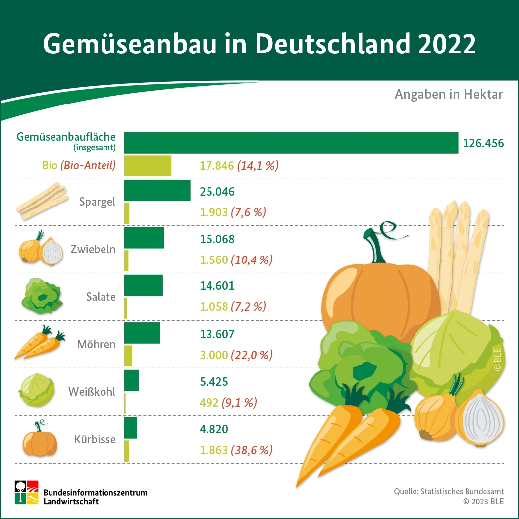 BZL-Infografik: Gemüseanbau in Deutschland 2022
