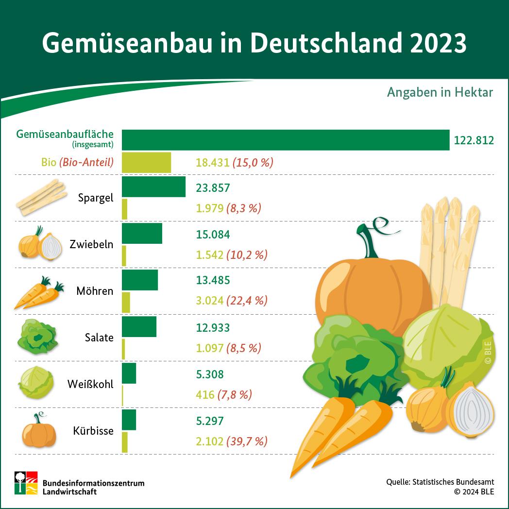 BZL-Infografik: Gemüseanbau in Deutschland 2023