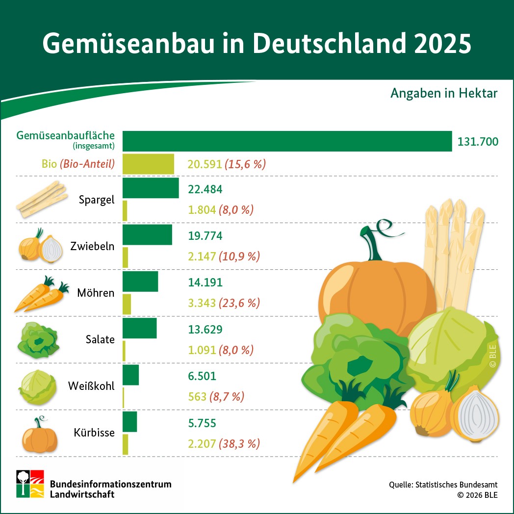 BZL-Infografik: Gemüseanbau in Deutschland 2024