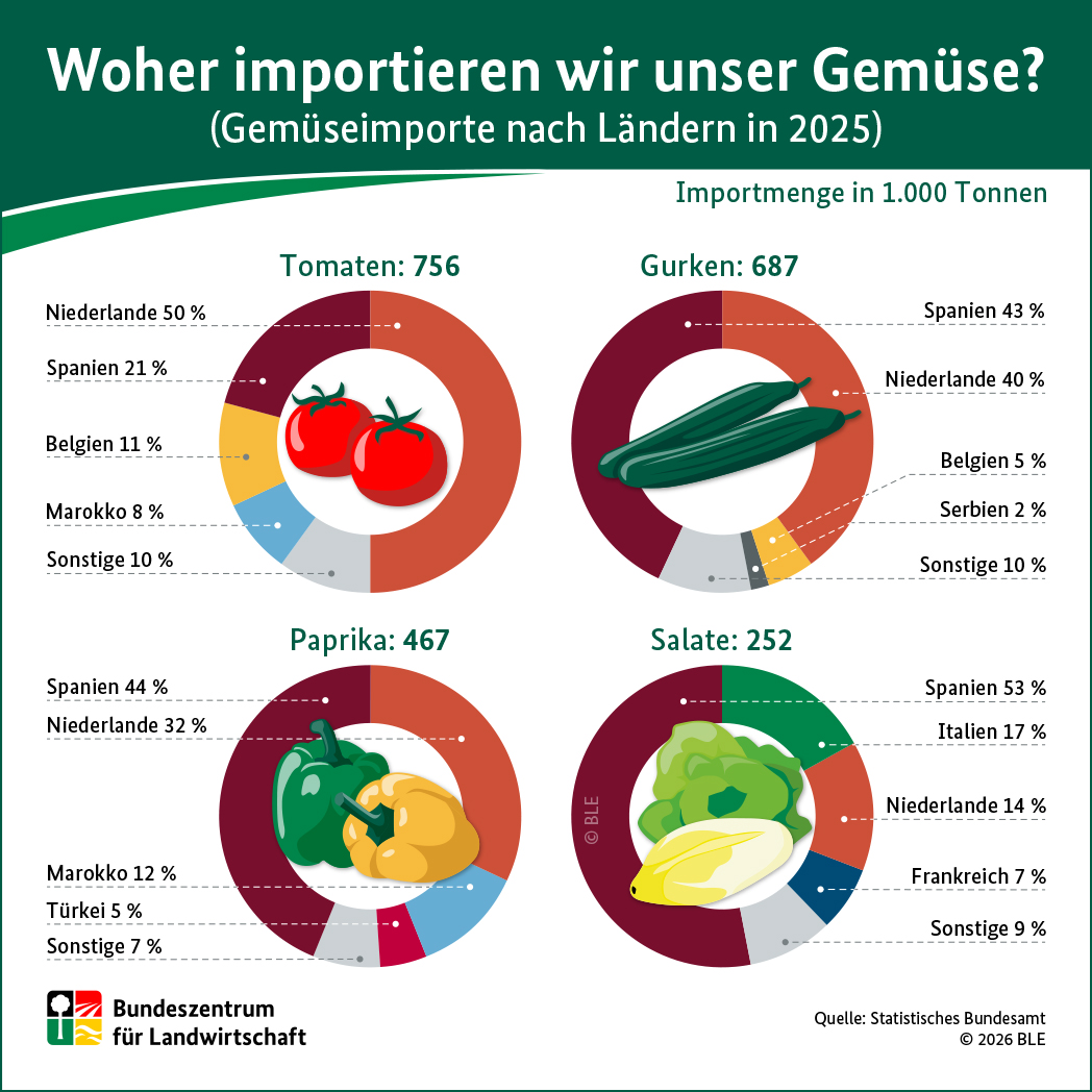 Infografik "Woher importieren wir unser Gemüse?"