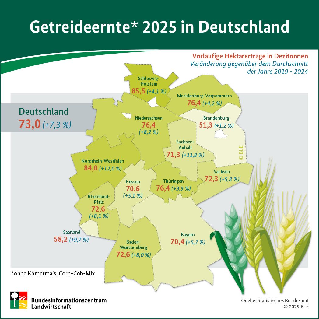 BZL-Infografik zur Getreideernte 2023 in Deutschland