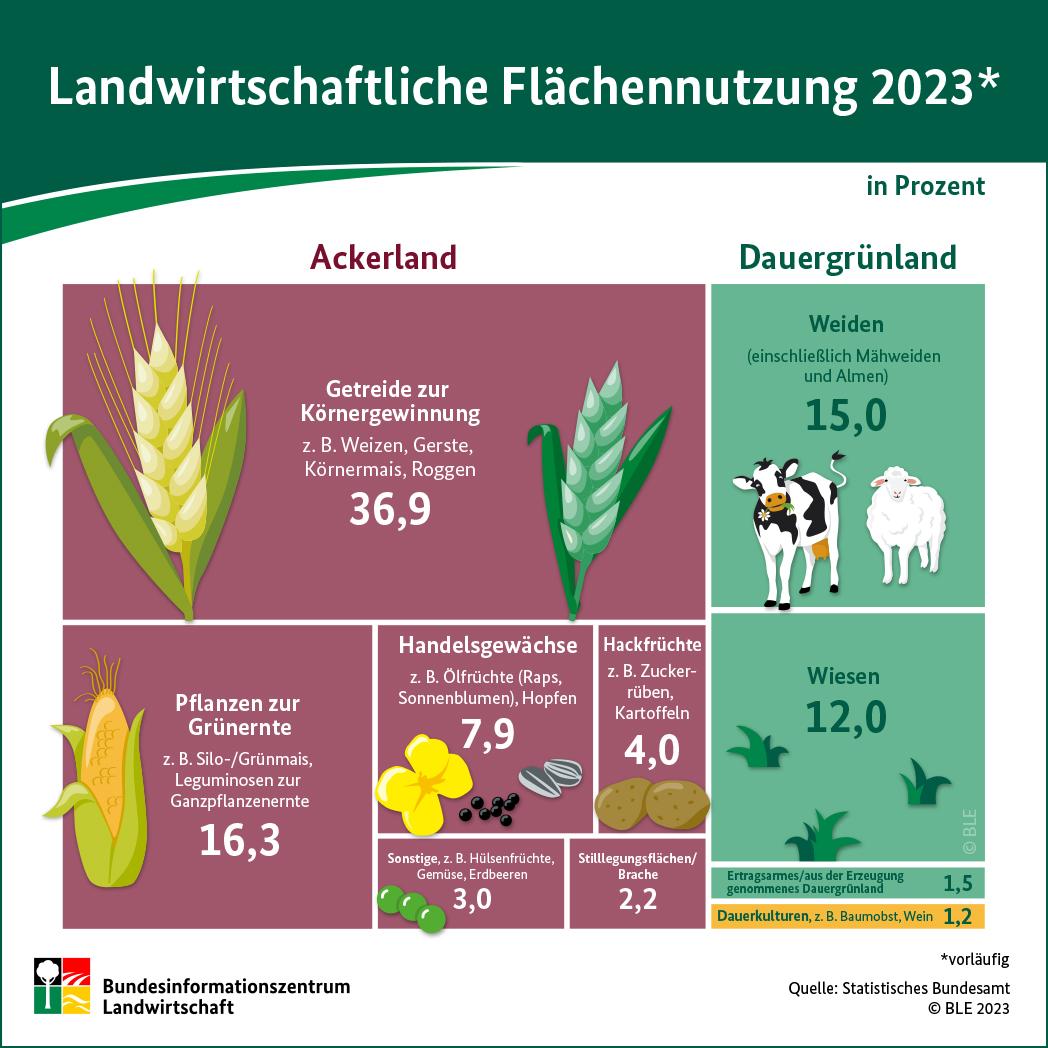 Infografik: Landwirtschaftliche Flächennutzung 2023