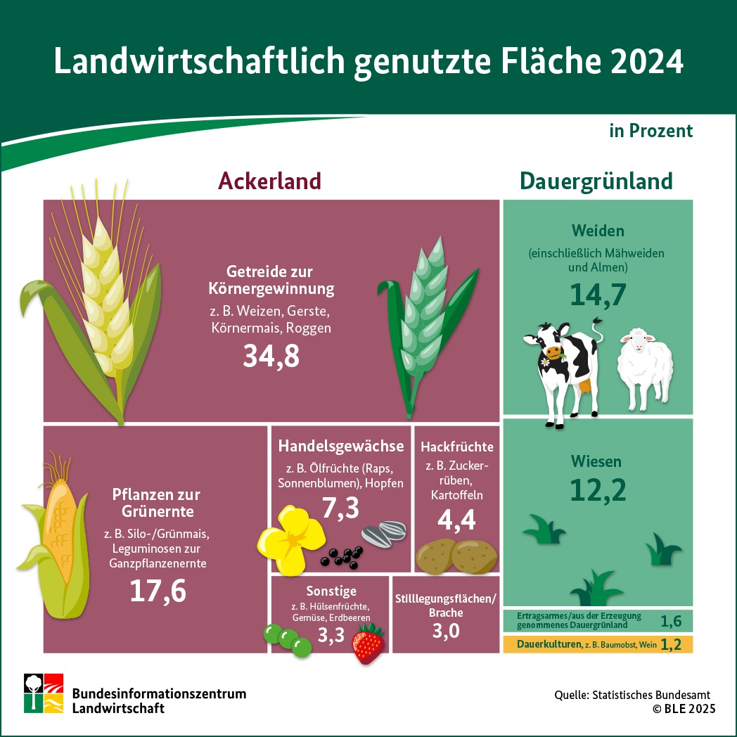 Infografik: Landwirtschaftliche Flächennutzung 2023