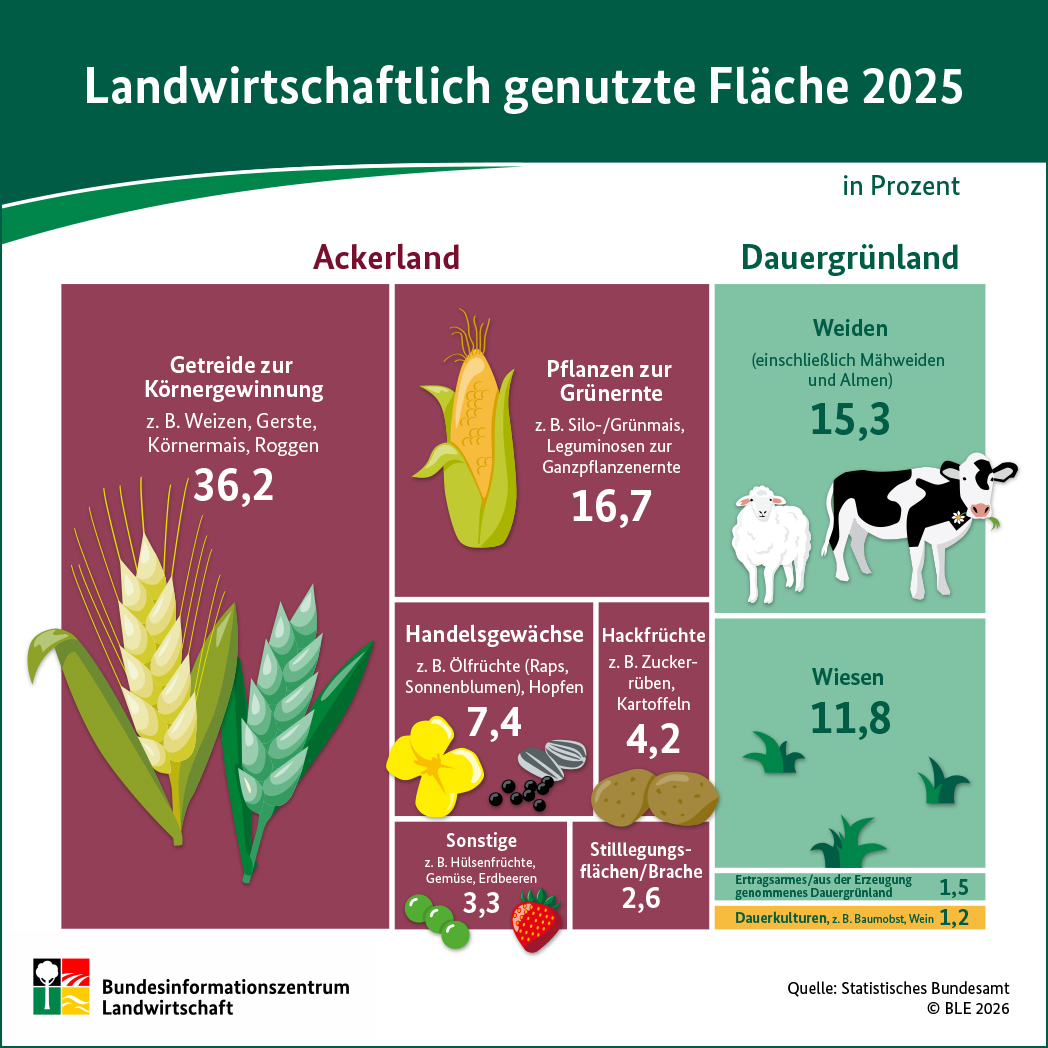 Infografik: Landwirtschaftliche Flächennutzung 2023