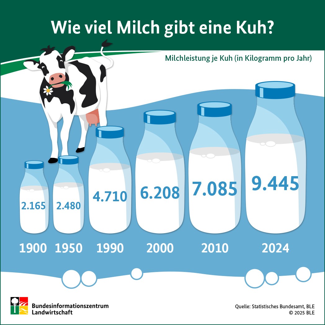 Infografik: Wie viel Milch gibt eine Kuh?