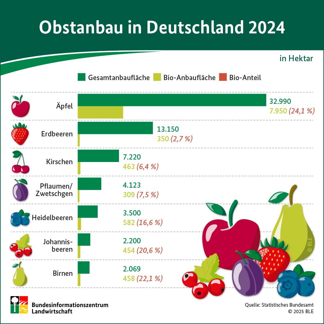 BZL-Infografik: Obstanbau in Deutschland 2024