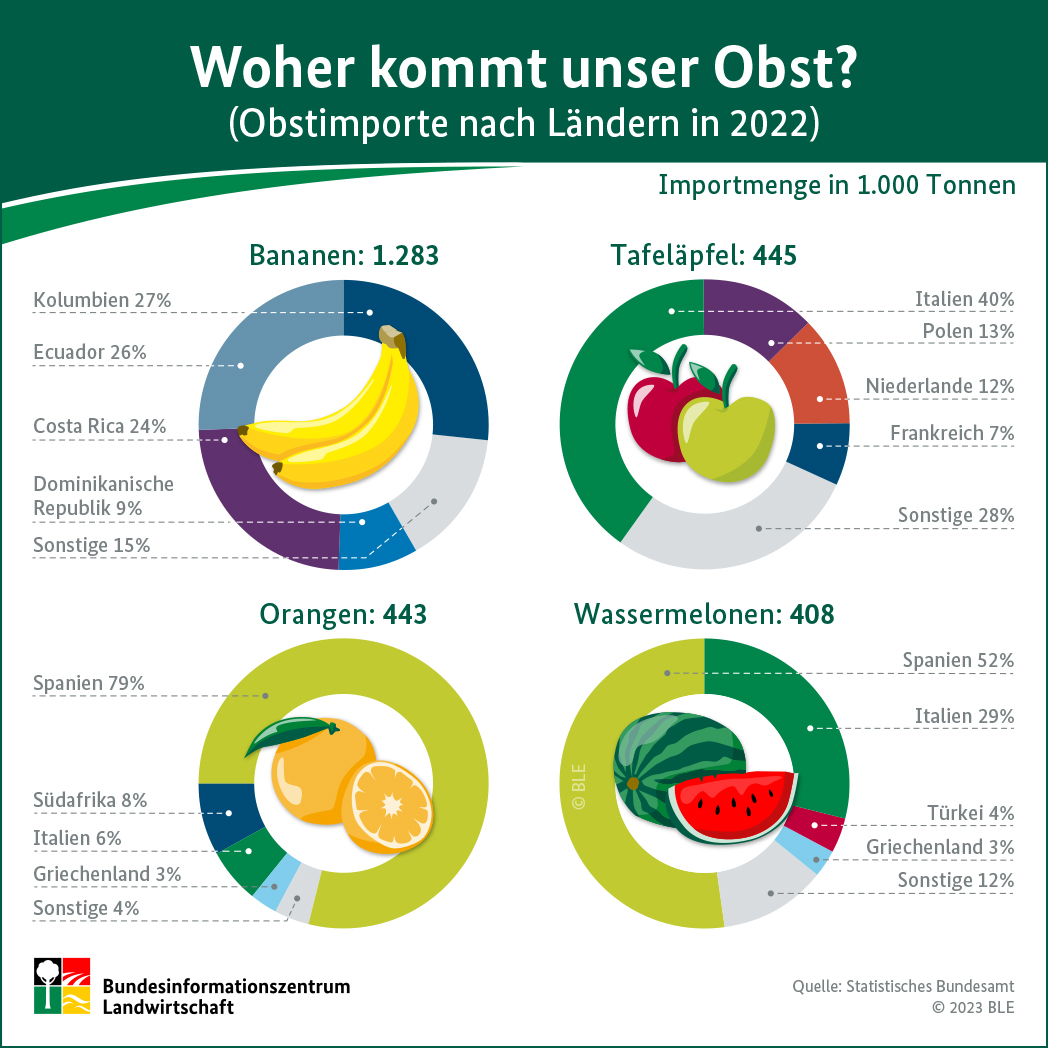 BZL-Infografik: Woher kommt unser Obst? Obstimporte nach Ländern im Jahr 2022