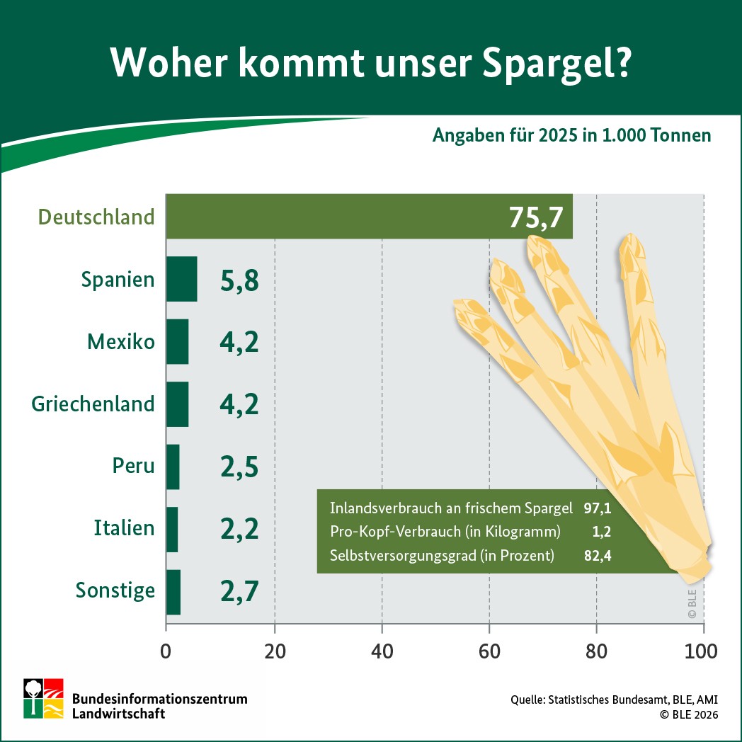 BZL-Infografik: Woher kommt unser Spargel? Angaben aus dem Jahr 2025.