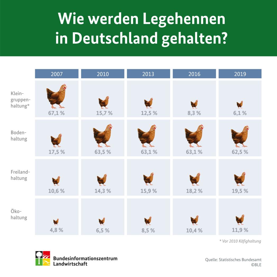 Infografik "Wie werden Legehennen in Deutschland gehalten?"