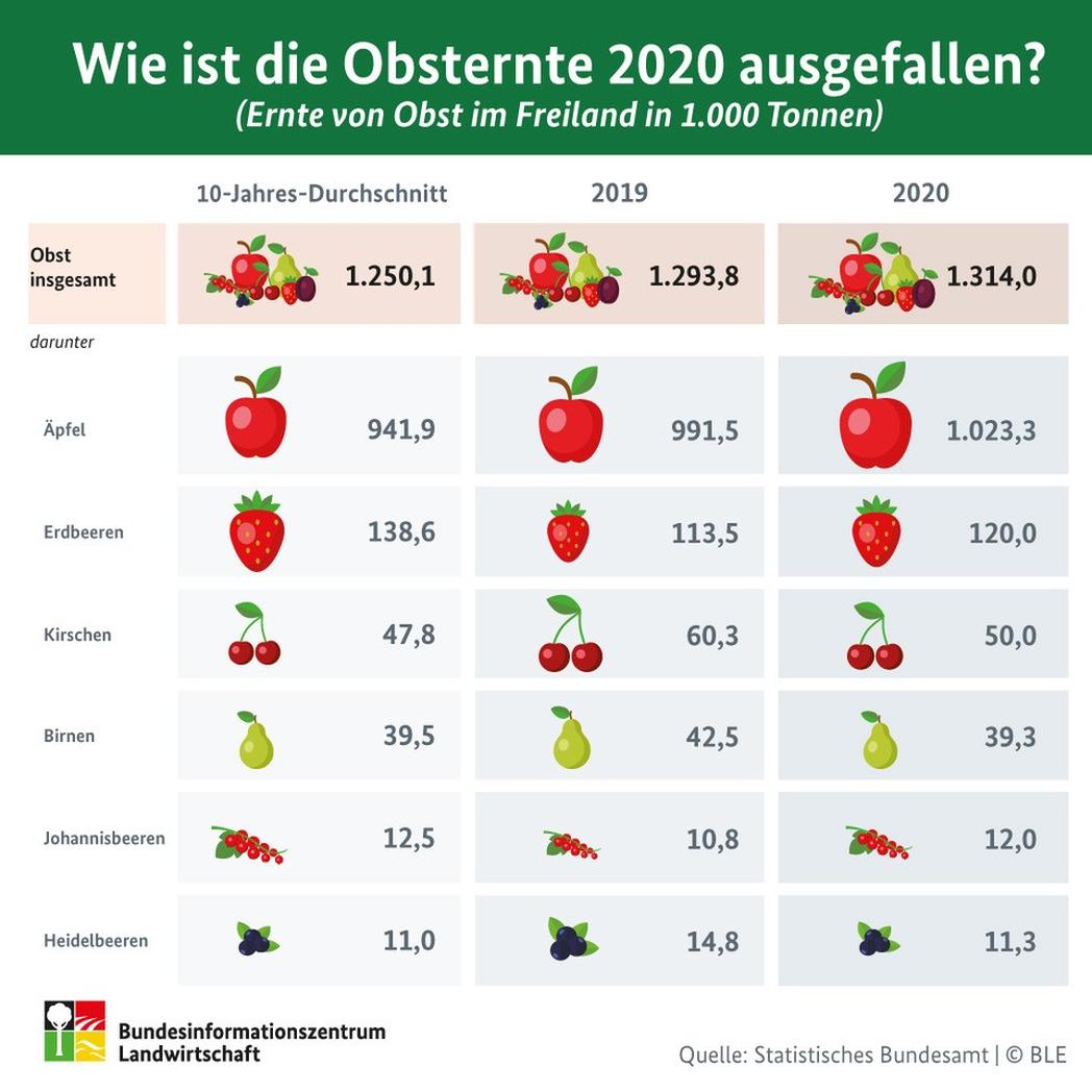 Infografik "Wie ist die Obsternte 2020 ausgefallen?"