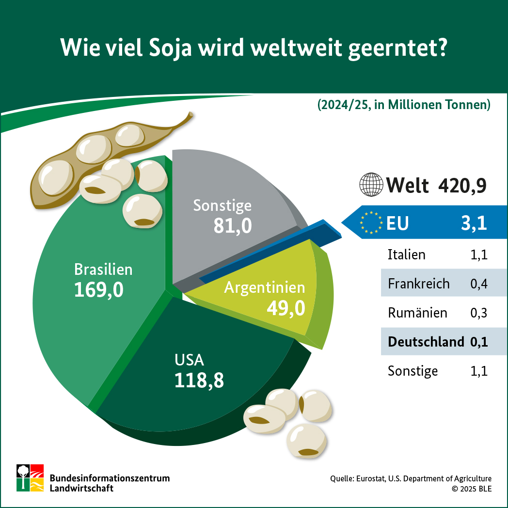 BZL-Infografik: Wie viel Soja wird weltweit geerntet?