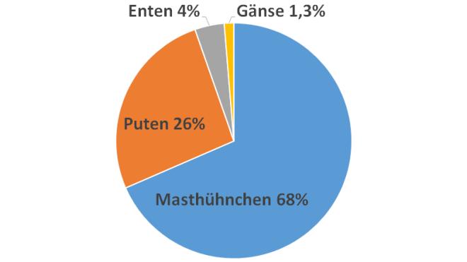 Geflügelarten Geflügelarten