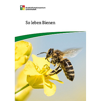 Cover des Pockets "So leben Bienen"