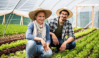 Sara Knapp und Orfeas Fischer kniend vor Salat-pflanzen im Gewächshaus