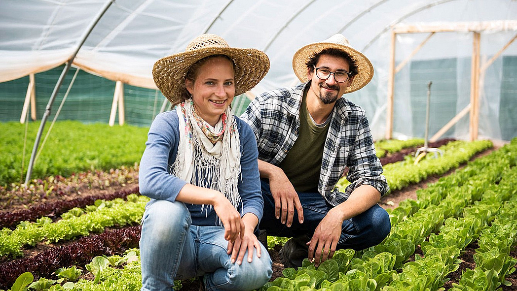 Sara Knapp und Orfeas Fischer kniend vor Salat-pflanzen im Gewächshaus