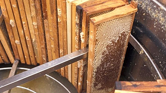 Rahmen mit Honigwaben in der Schleuder