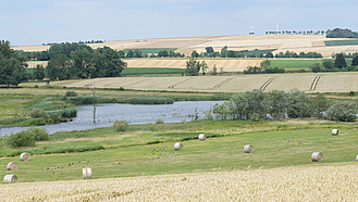 Teich inmitten von Feldern 
