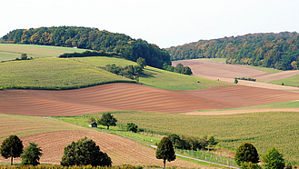 Hügelige Landschaft mit Feldern und Wald