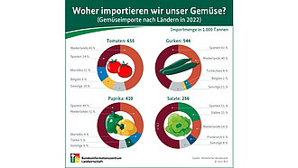 Infografik "Woher importieren wir unser Gemüse?"