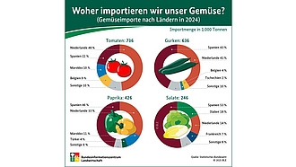 Infografik "Woher importieren wir unser Gemüse?"
