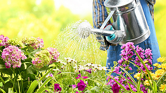 Blumenbeet wird per Gießkanne gegossen