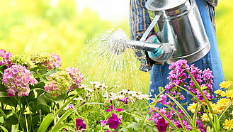 Blumenbeet wird per Gießkanne gegossen