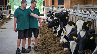 Ein Landwirt und sein Sohn im Kuhstall