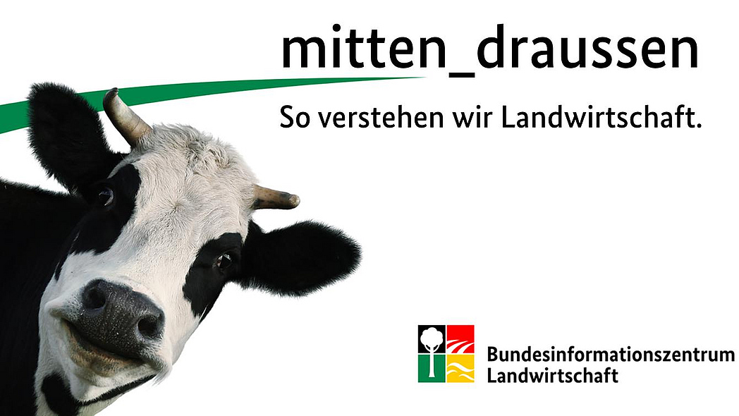 Coverbild des Podcasts "mitten_draussen"