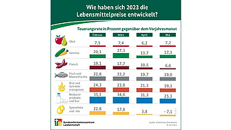 Vorschau Infografik "Wie haben sich 2023 die Lebensmittelpreise entwickelt?"
