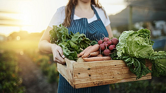 Frau mit Schürze trägt eine mit frischem Gemüse gefüllte Holzkiste.