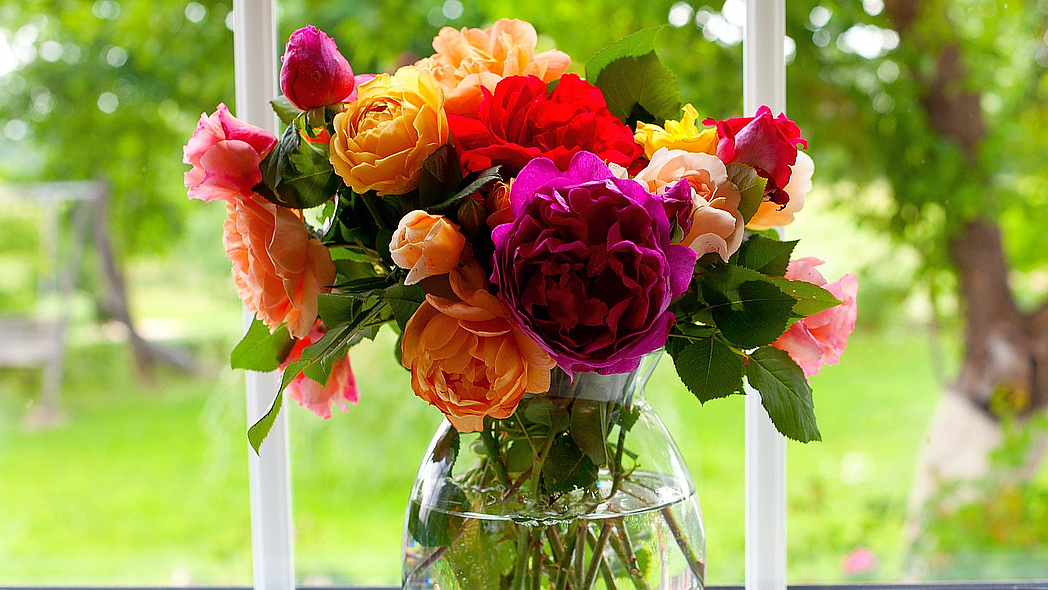 Blumenvase mit bunten Rosen steht vor einem Fenster