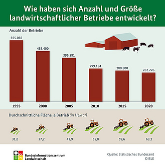 Infografik "Wie haben sich Anzahl und Größe landwirtschaftlicher Betriebe entwickelt?"