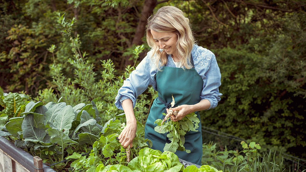 Blonde Frau am Hochbeet mit Gemüse erntet Rettich.