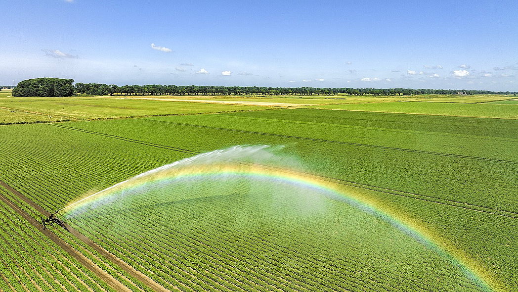 Ein Drehstrahlregner beregnet einen Acker.