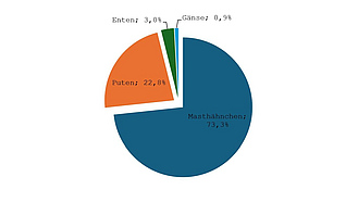 Kuchendiagramm zur Aufteilung des Verbrauchs von Geflügelfleisch