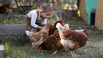 Ein kleines Mädchen spielt im Garten mit Hühnern.