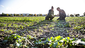 Eine Landwirtin und ein Landwirt kontrollieren Unkraut auf einem Acker