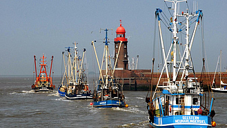 Mehrere Krabbenkutter beim Auslaufen aus dem Hafen