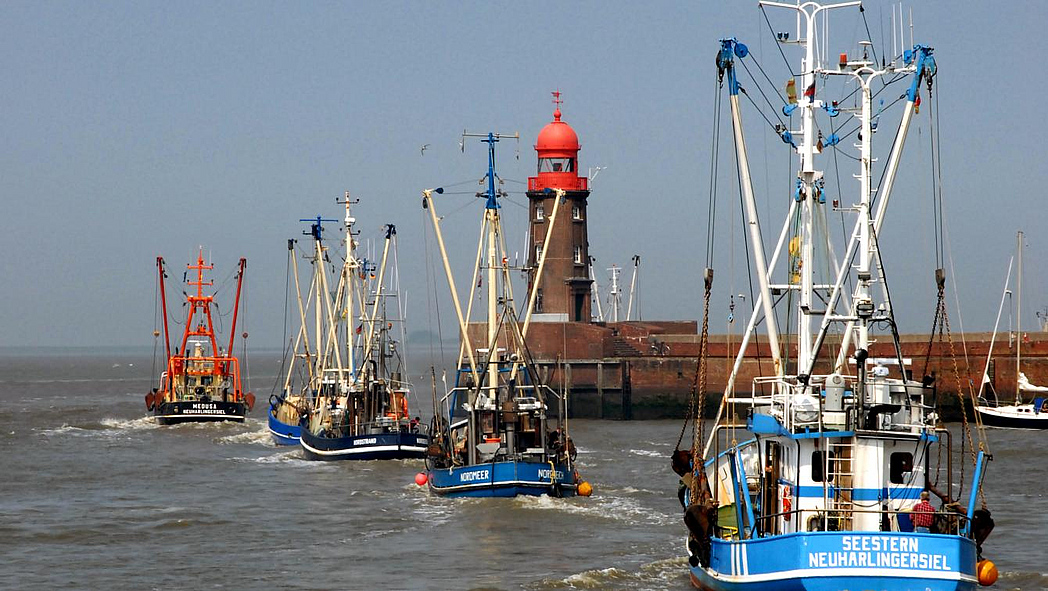 Mehrere Krabbenkutter beim Auslaufen aus dem Hafen