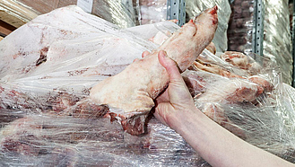 Hand hält einen gekühlten Schweinefuß in die Kamera, dahinter weitere verpackte und gekühlte Schweinefüße.