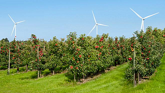 Apfelplantage vor Windkrafträdern